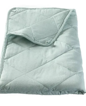 Membantu Tyngdedyne økologisk Mint