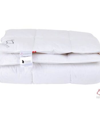 Ringsted Dyne Klodshans Lun